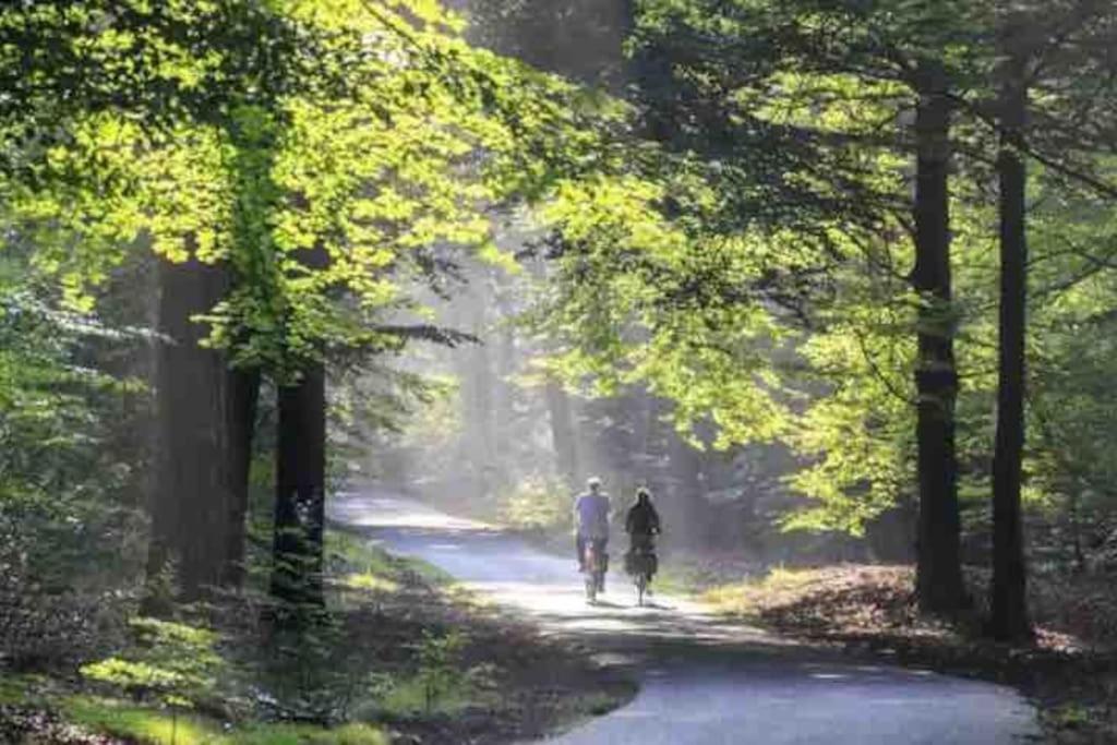 Chalet Toetje Op De Veluwe Hoenderloo Eksteriør bilde