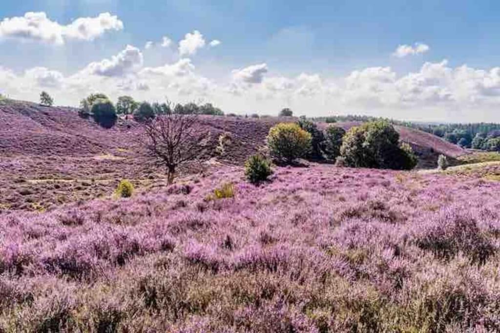 Chalet Toetje Op De Veluwe Hoenderloo Eksteriør bilde